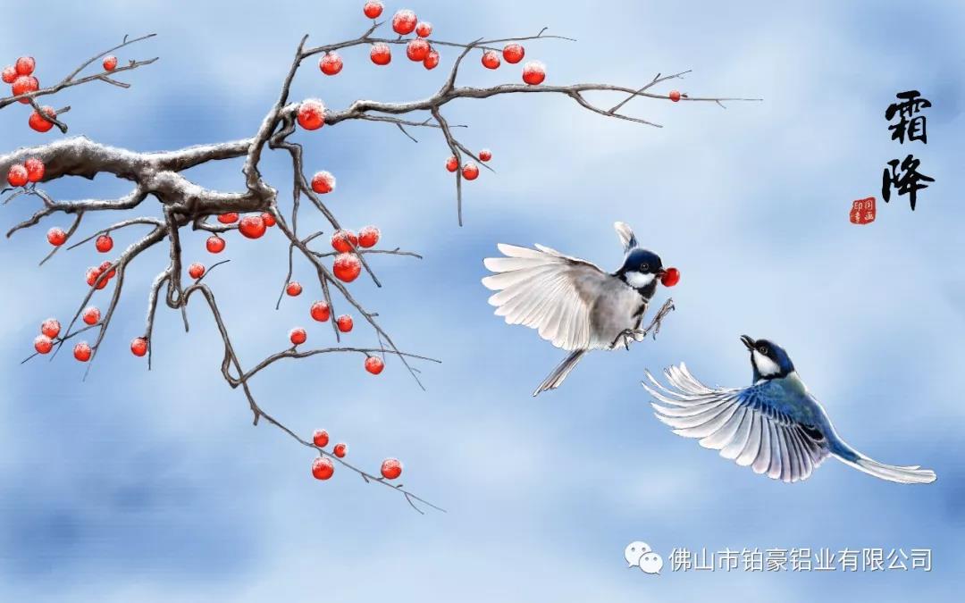 【鉑豪鋁業】今日霜降